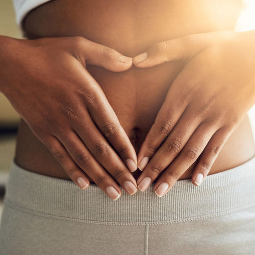 Premium probiotics for gut health