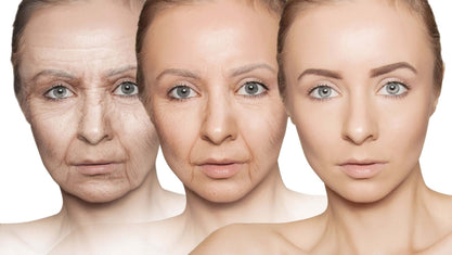 telomeres and aging
