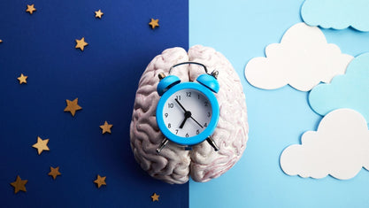 The Powerful Impact of Circadian Rhythm on Health: How Aligning with Nature Can Transform Your Life.