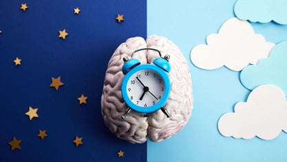 circadian rythm 
