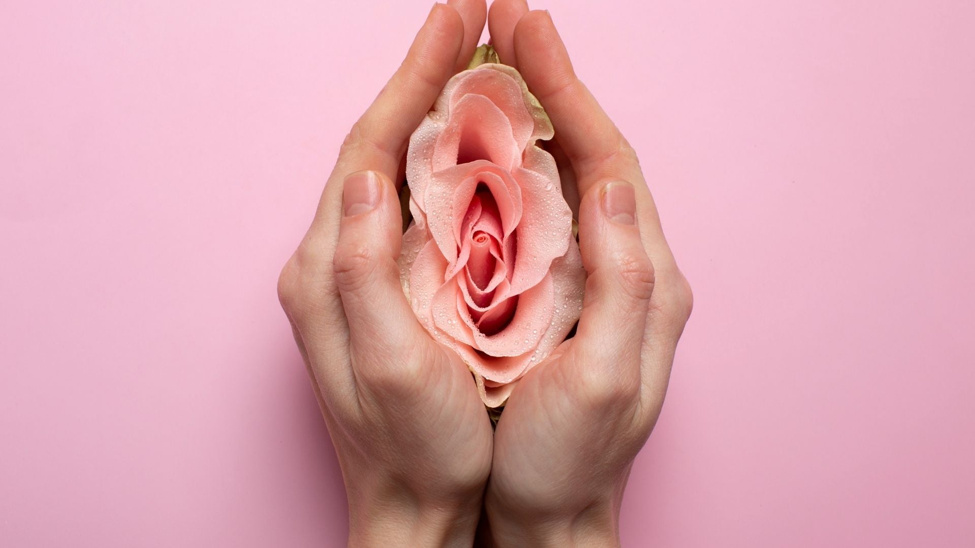 The Gut–Vagina–Bladder Axis: Microbial Connections Behind Recurrent UTIs