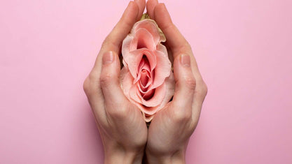 gut-vagina-bladder axis
