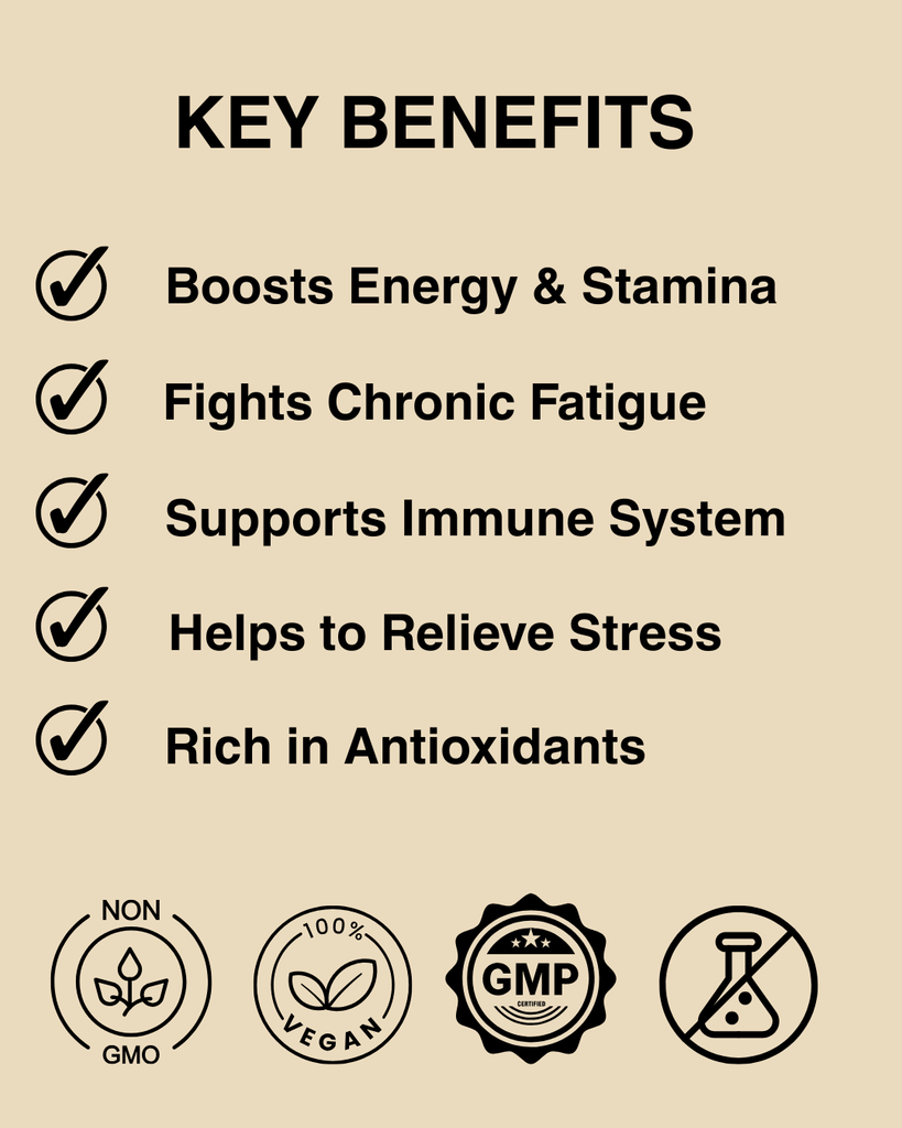 Cordyceps Mushroom - Natural Energy and Endurance Booster | 100% Pure Cordyceps Extract Capsules