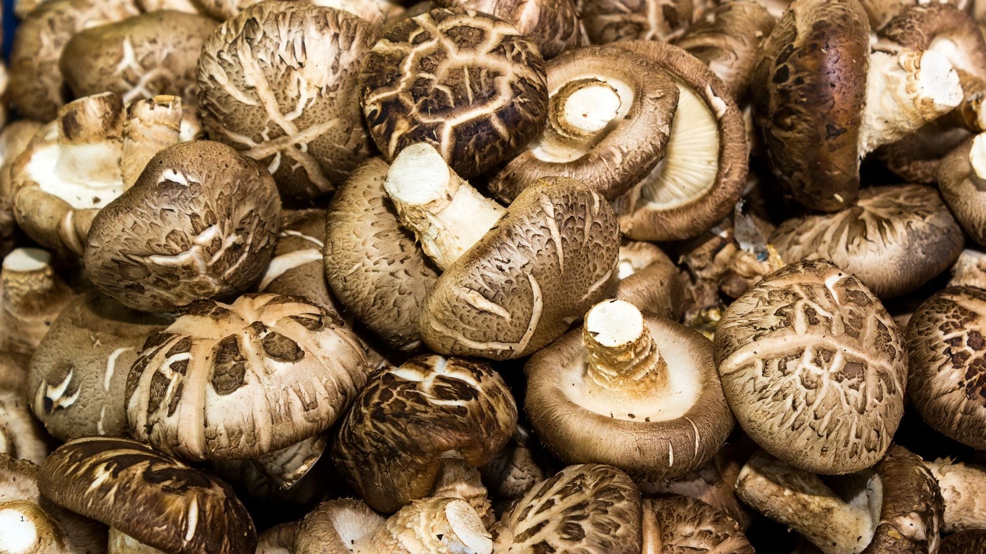 Key ingredient image